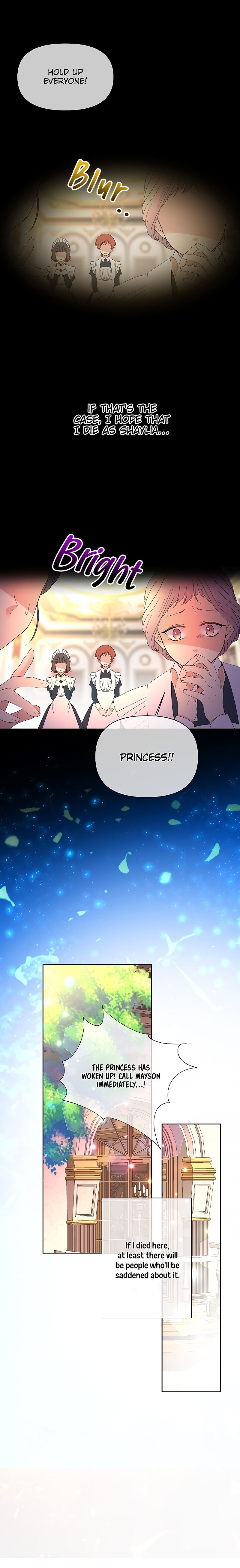 Limited Time Princess - Chapter 8