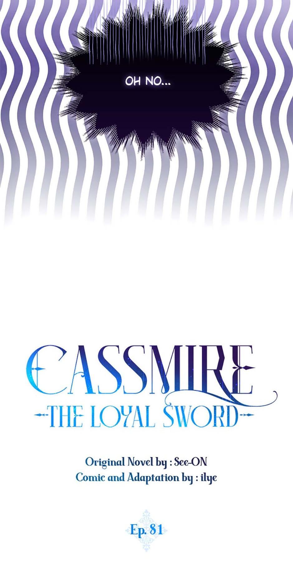 I Was Planning To Become A Loyal Sword - Chapter 81