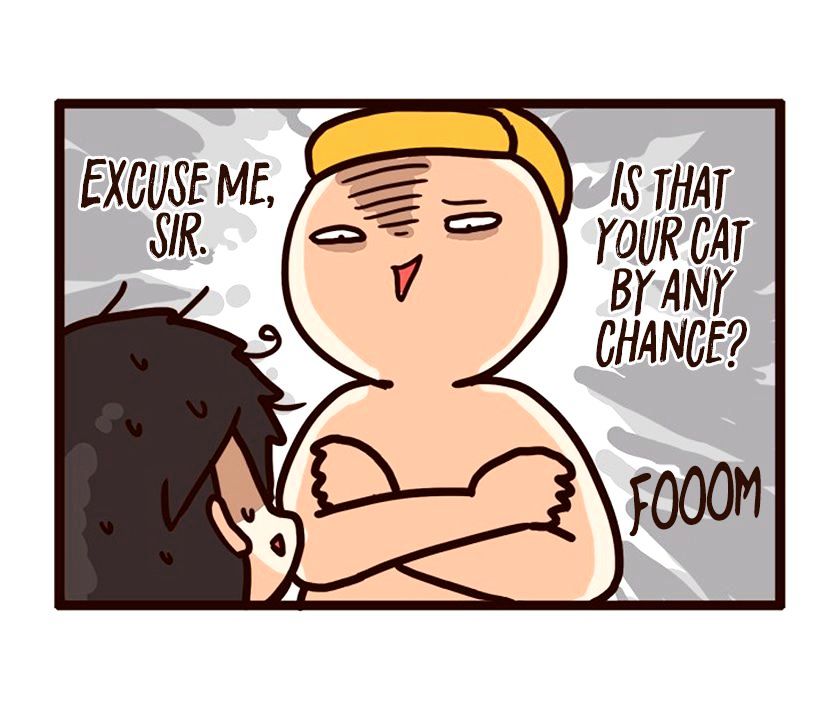 The Salary Man & Tofu The Funny Cat - Chapter 3 : That's Not My Cat