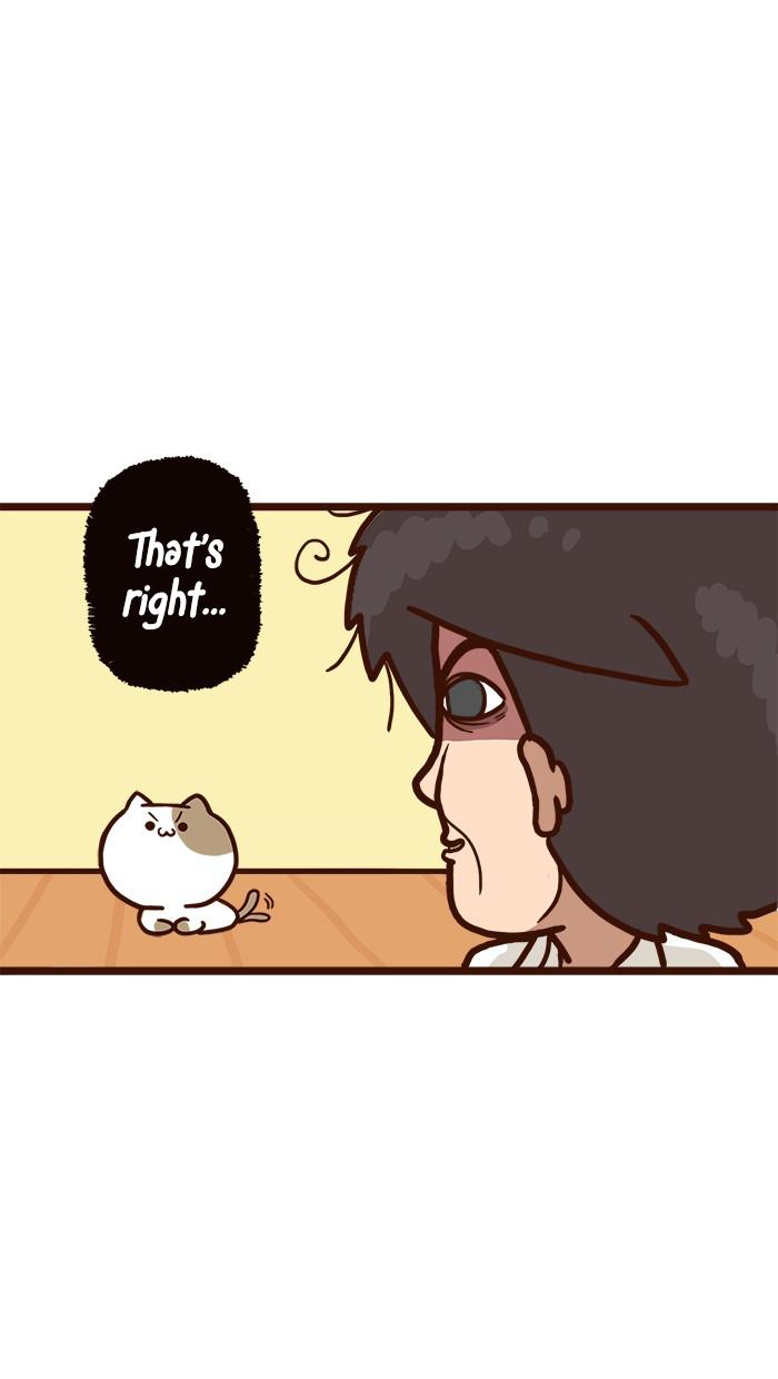 The Salary Man & Tofu The Funny Cat - Chapter 9