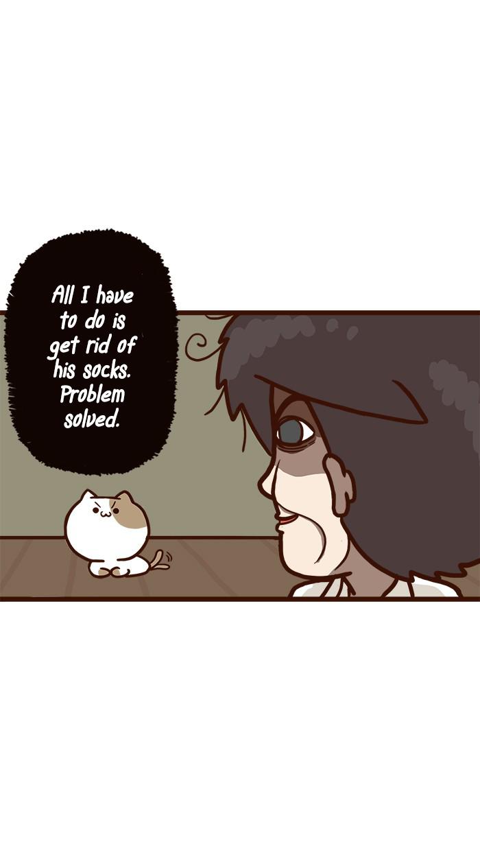 The Salary Man & Tofu The Funny Cat - Chapter 9