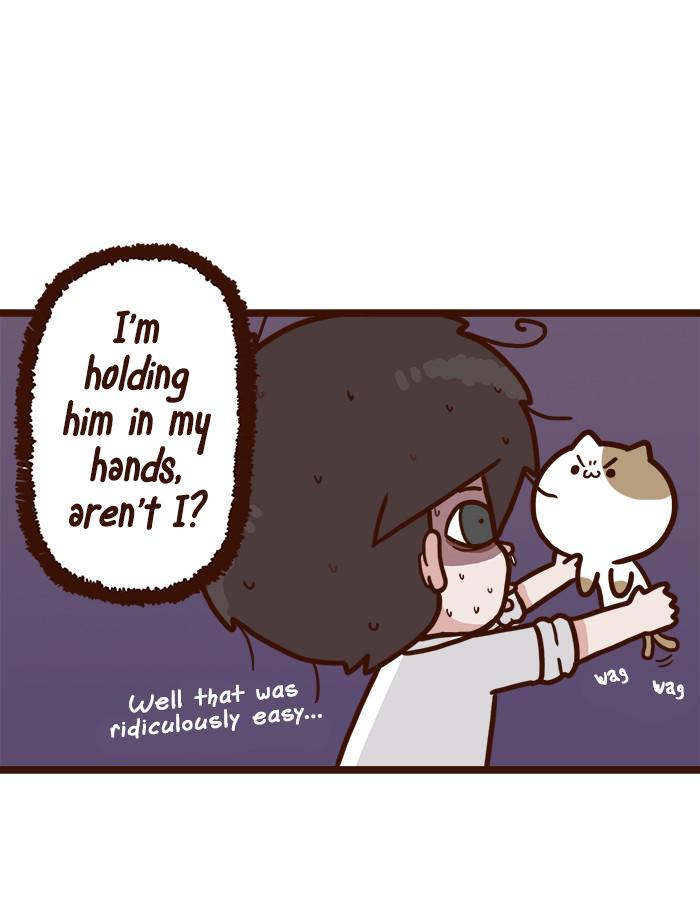 The Salary Man & Tofu The Funny Cat - Chapter 7