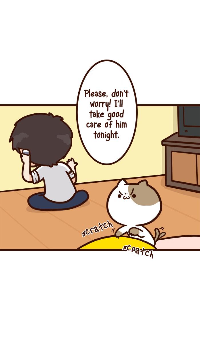 The Salary Man & Tofu The Funny Cat - Chapter 8