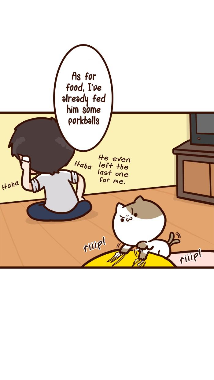 The Salary Man & Tofu The Funny Cat - Chapter 8