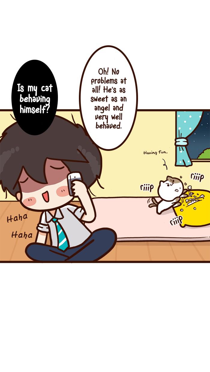 The Salary Man & Tofu The Funny Cat - Chapter 8