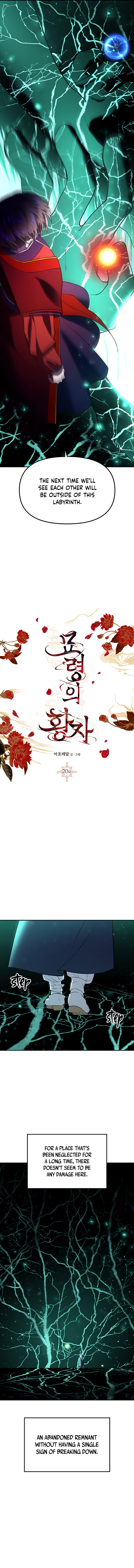 Mystic Prince - Chapter 20: Sylvan Labyrinth (3)