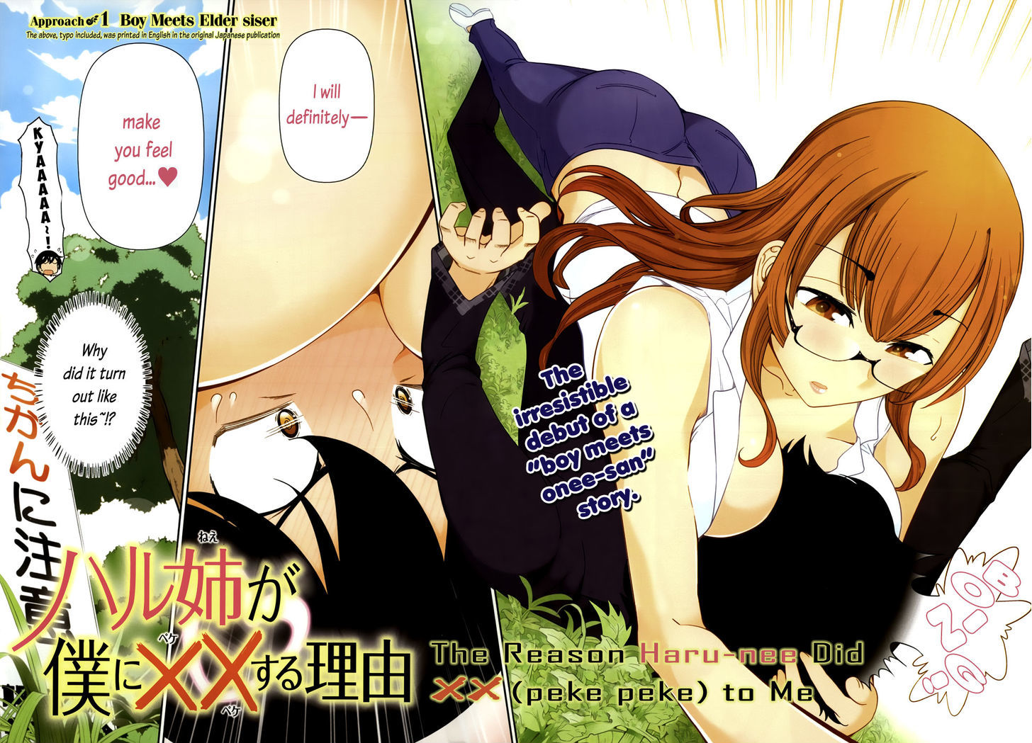 Haru-Nee Ga Boku Ni Xx Suru Riyuu - Chapter 1 : Boy Meets Elder Siser