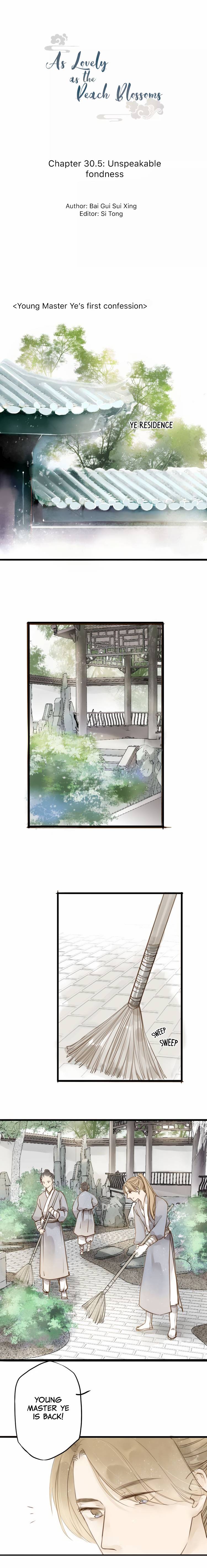 As Lovely As The Peach Blossoms - Chapter 30.5