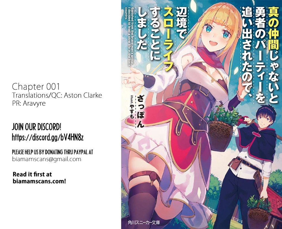 Shin No Nakama Janai To Yuusha No Party Wo Oidasareta Node, Henkyou De Slow Life Suru Koto Ni Shimashita - Chapter 0