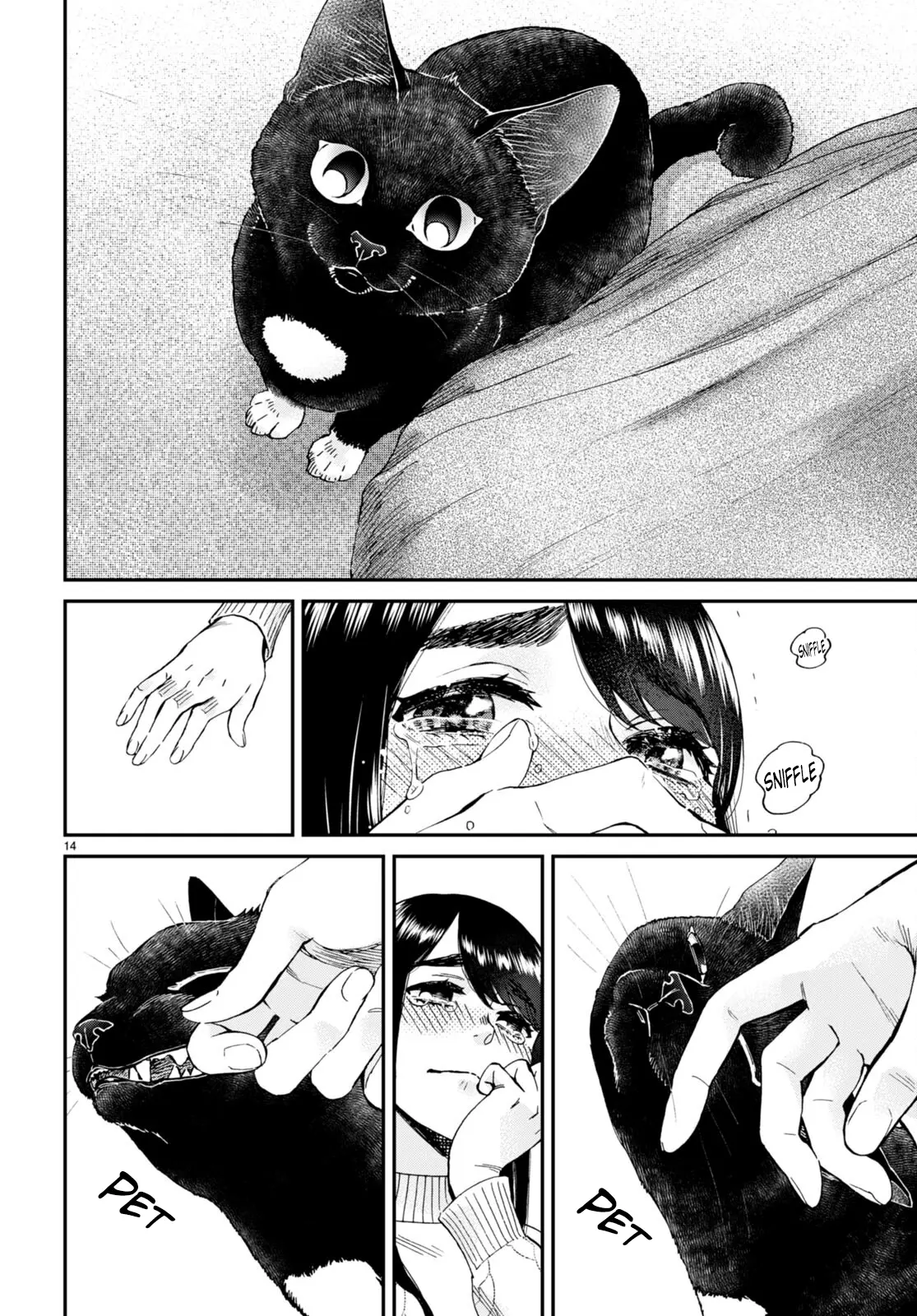 Hosomura-San With Cat's Snack - Vol.2 Chapter 14: Hosomura Family's Mixed Chicken Rice