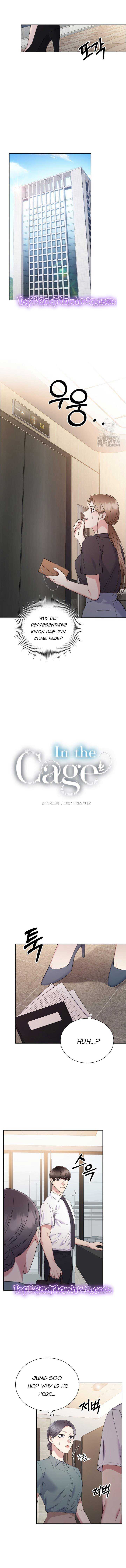 In The Cage - Chapter 14