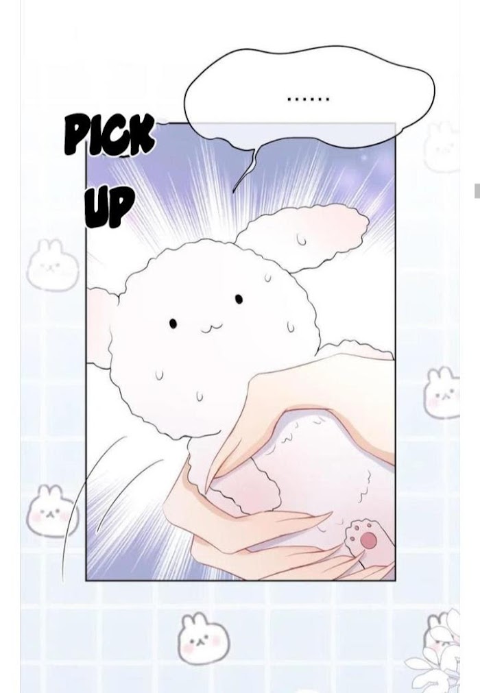 A Rabbit Down In A Bite - Chapter 8