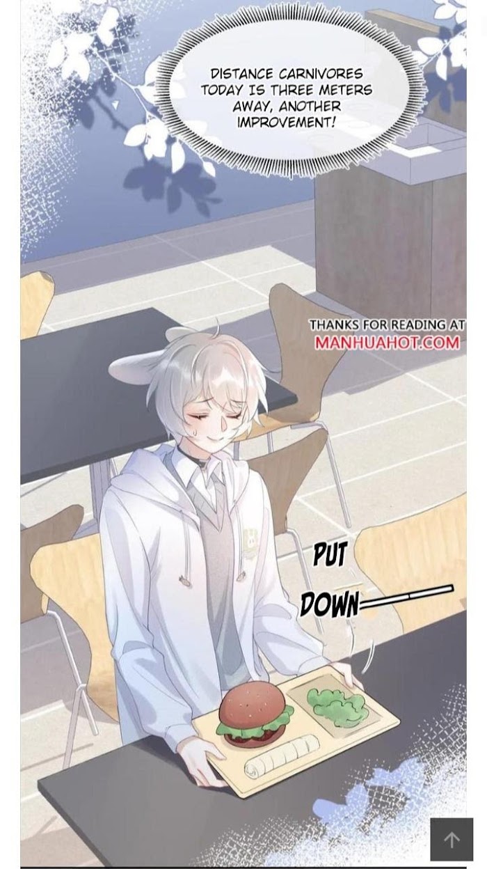 A Rabbit Down In A Bite - Chapter 4