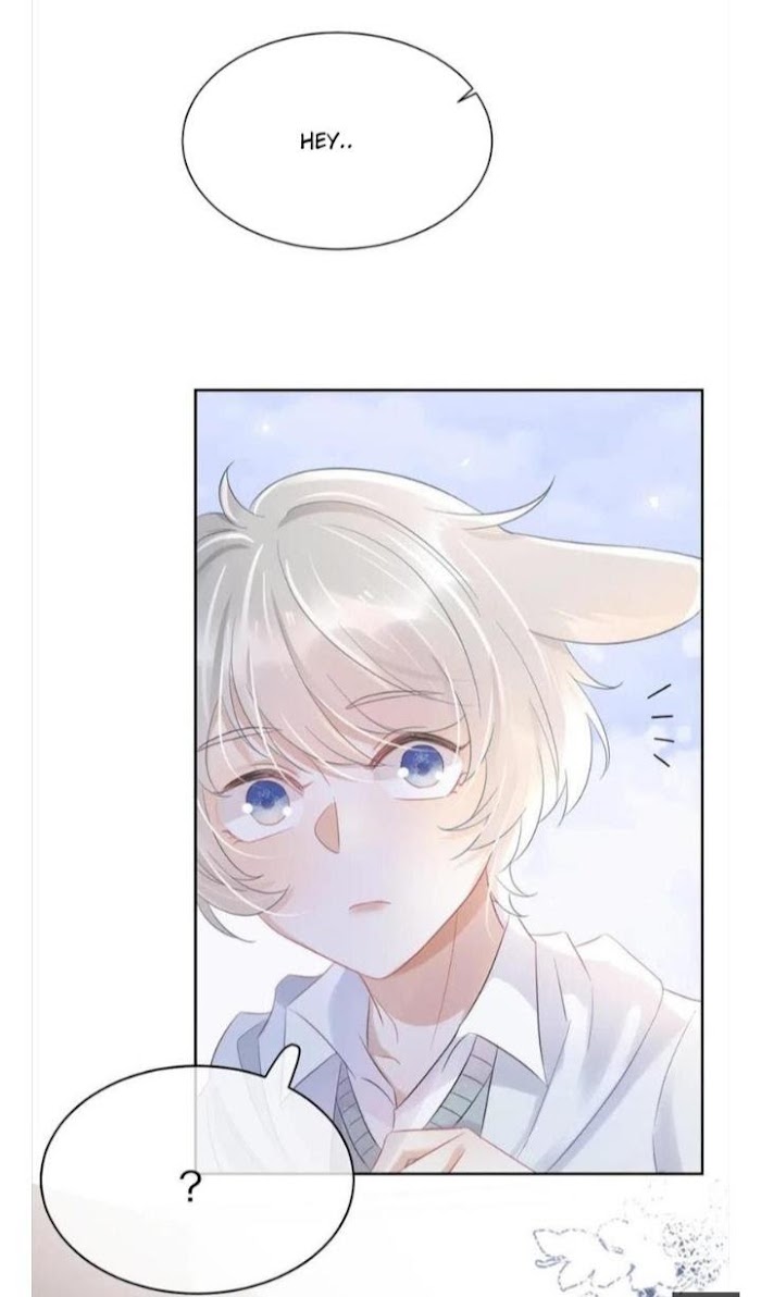 A Rabbit Down In A Bite - Chapter 4