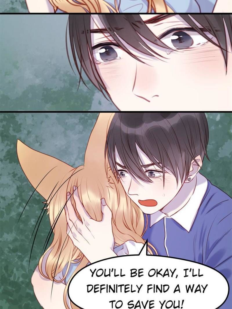 Picked Up A Little Fox - Chapter 66