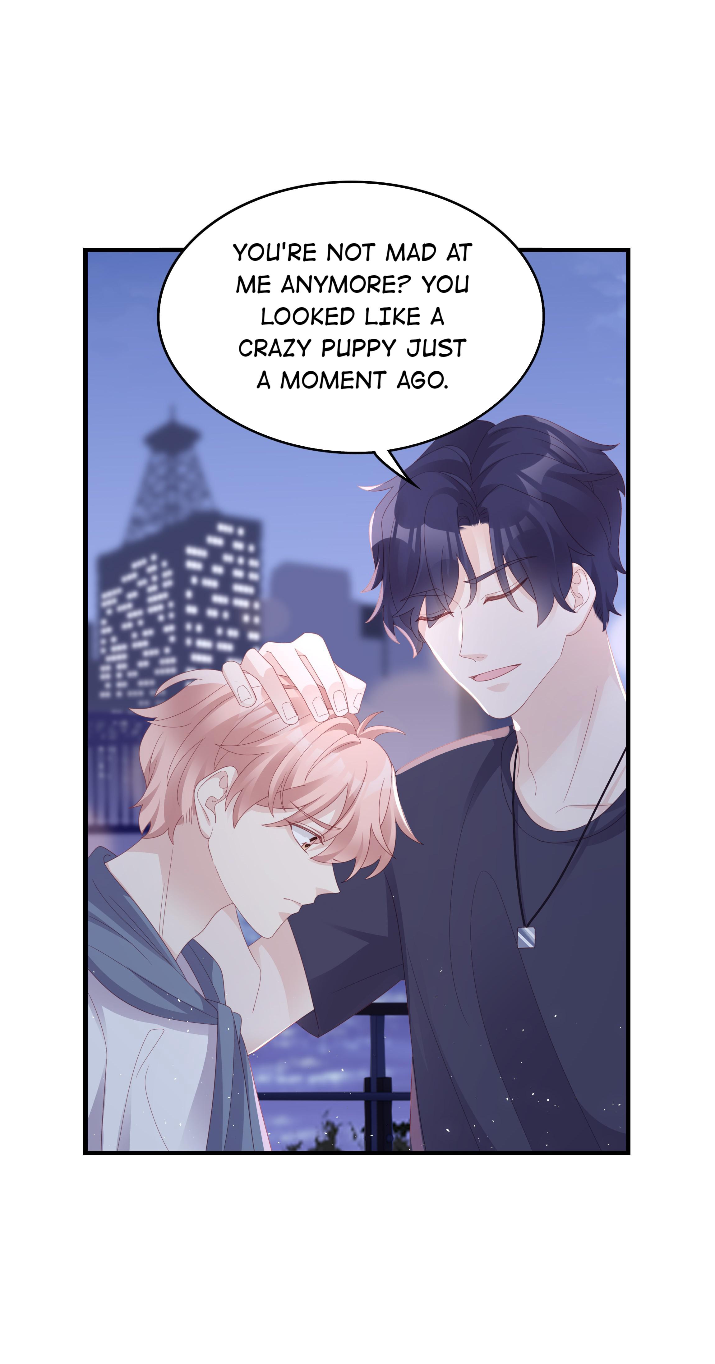 Pei Bao - Chapter 19: I'm Done Cheering Anyone Up!