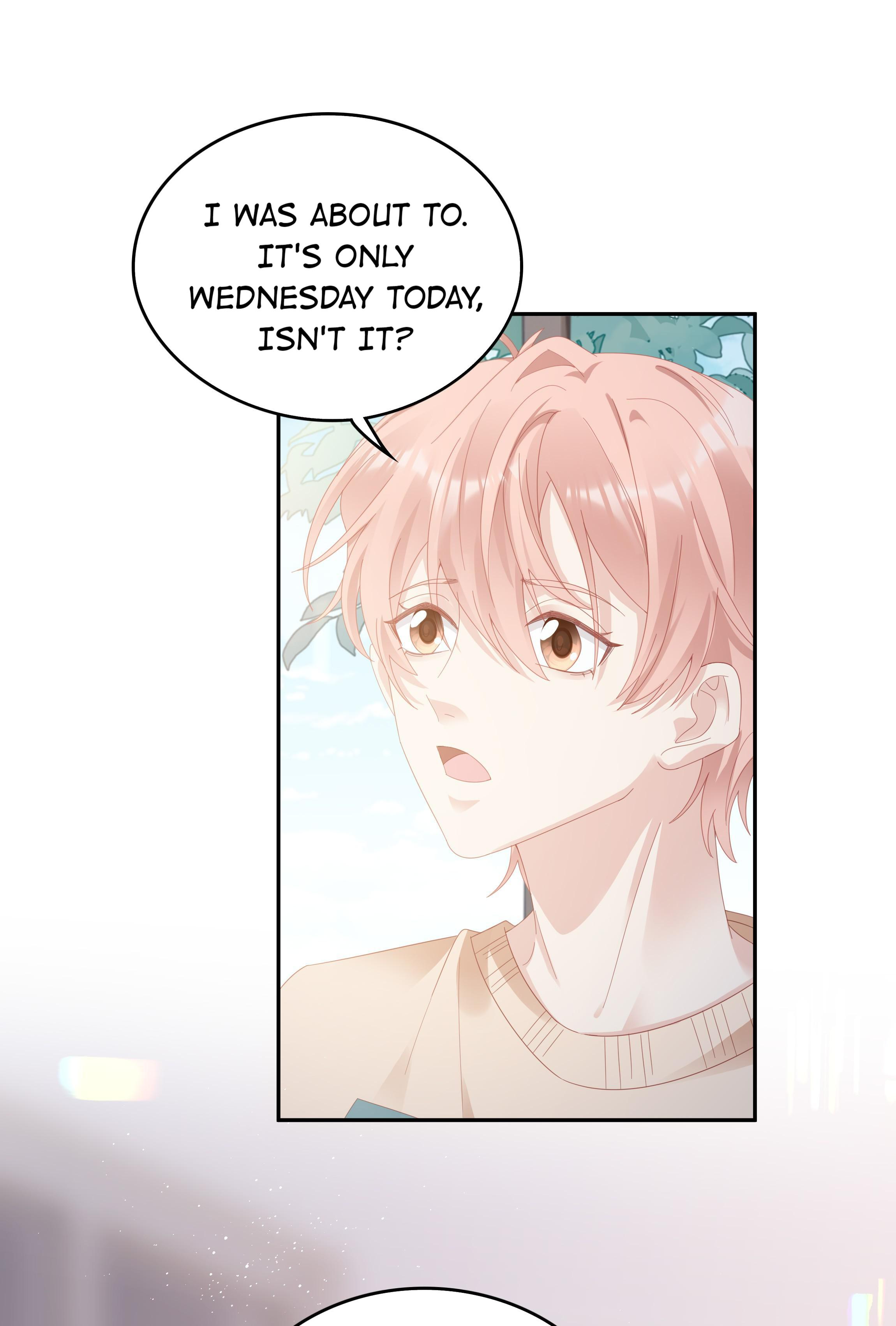 Pei Bao - Chapter 34: Happy Birthday, My Little Prince