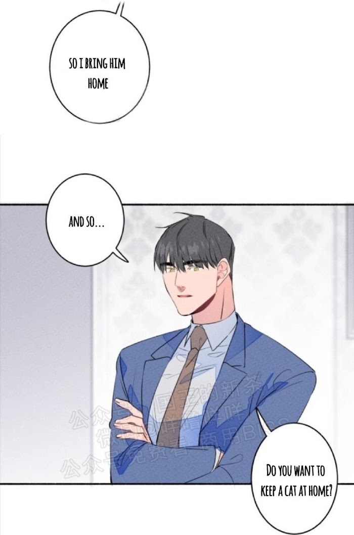 Marry You? Yes, I Will! - Chapter 8