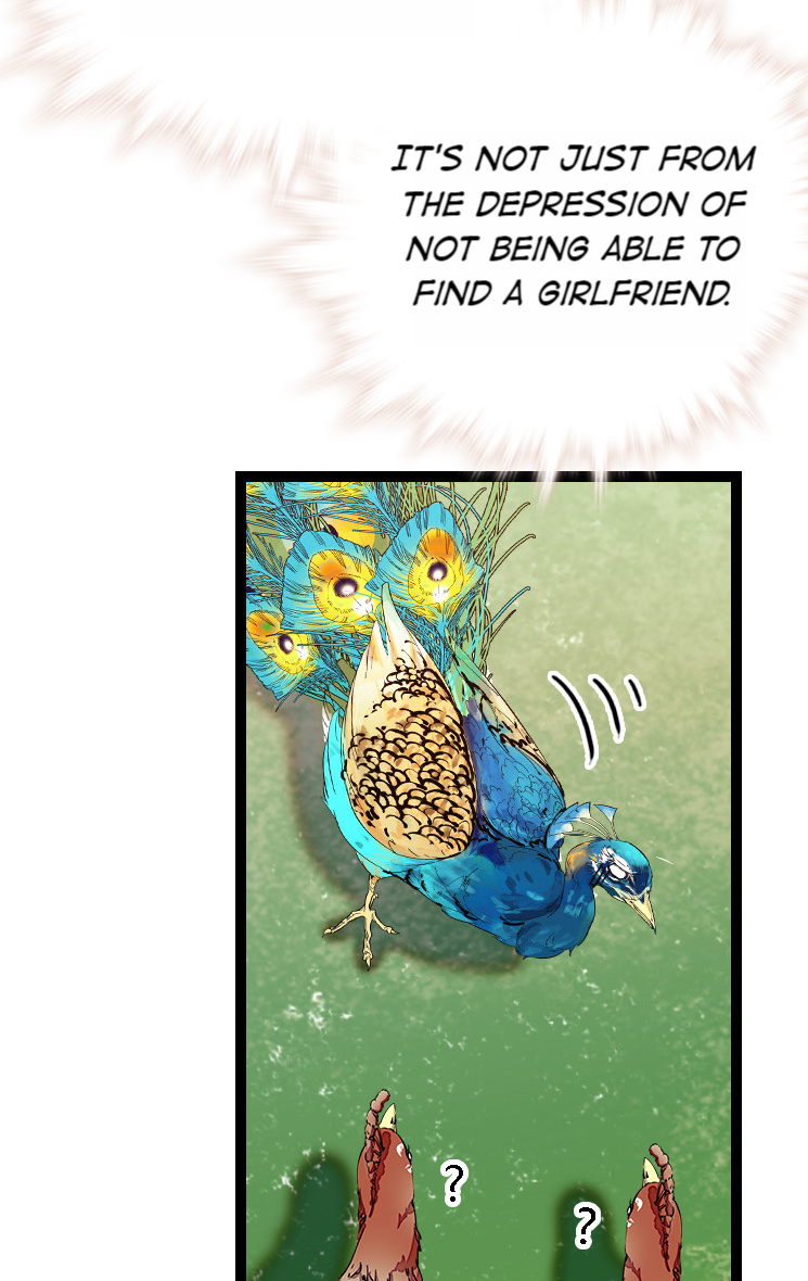 Me And My Zoo - Chapter 51: Peacock King