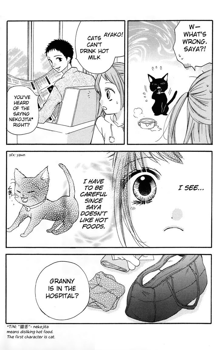 Zekkyou Gakkyuu - Vol.4 Chapter 16.5 : Extra Class:  "Black Cat Saya"