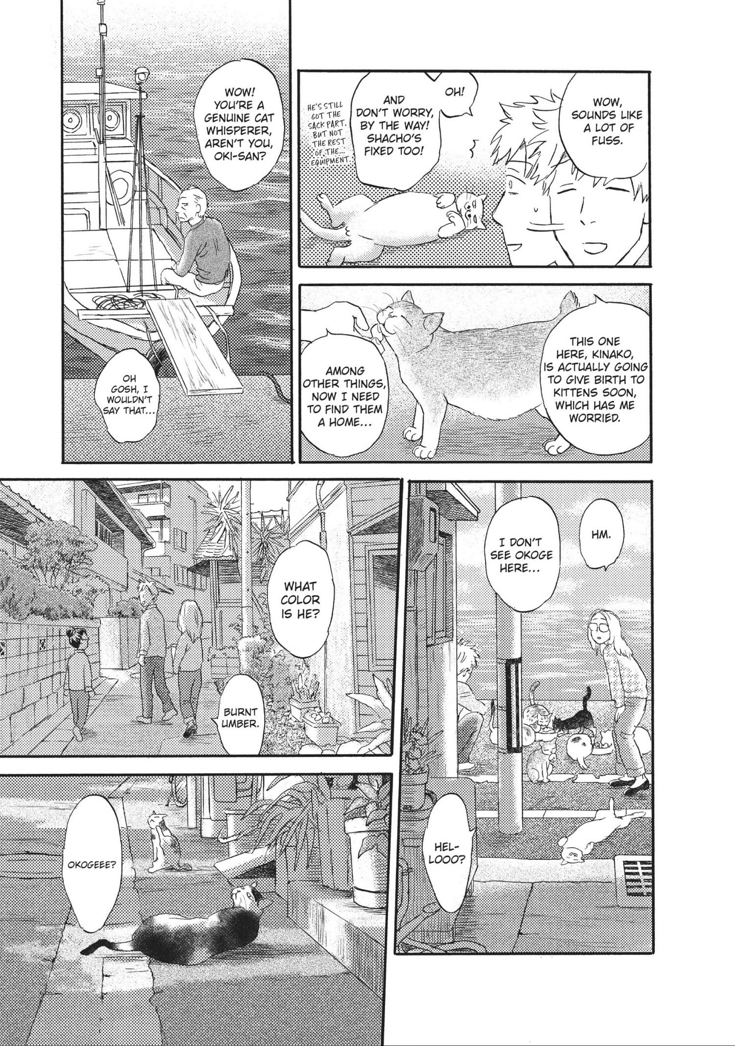 Cats Are Facing West - Chapter 14