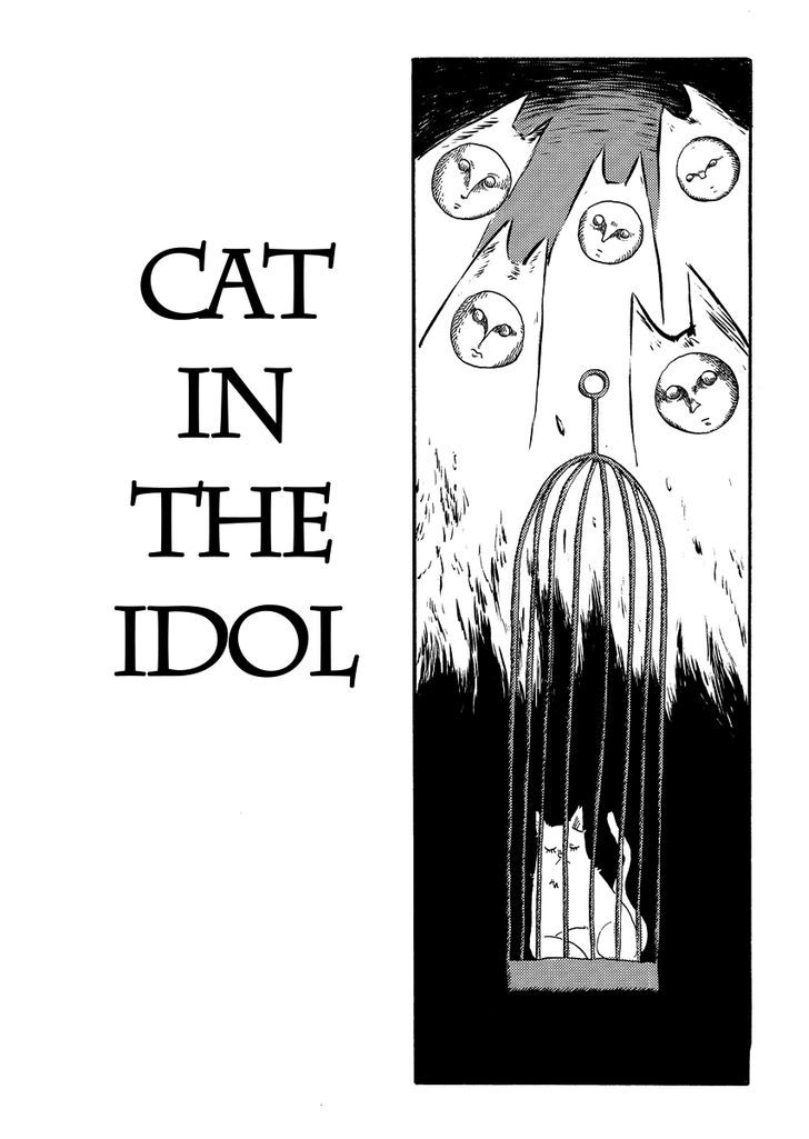 Cat In The Car - Chapter 17 : Cat In The Idol