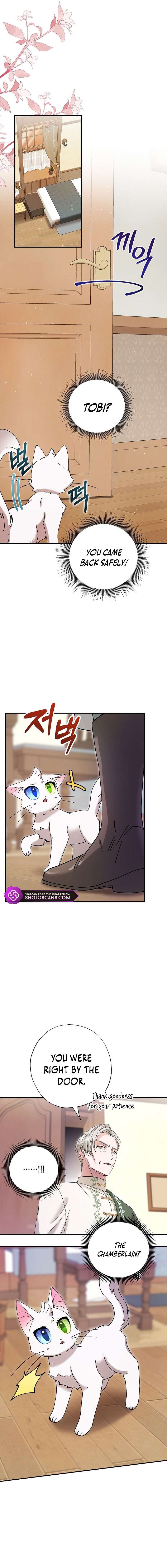 I Became The Emperor’S Cat - Chapter 8