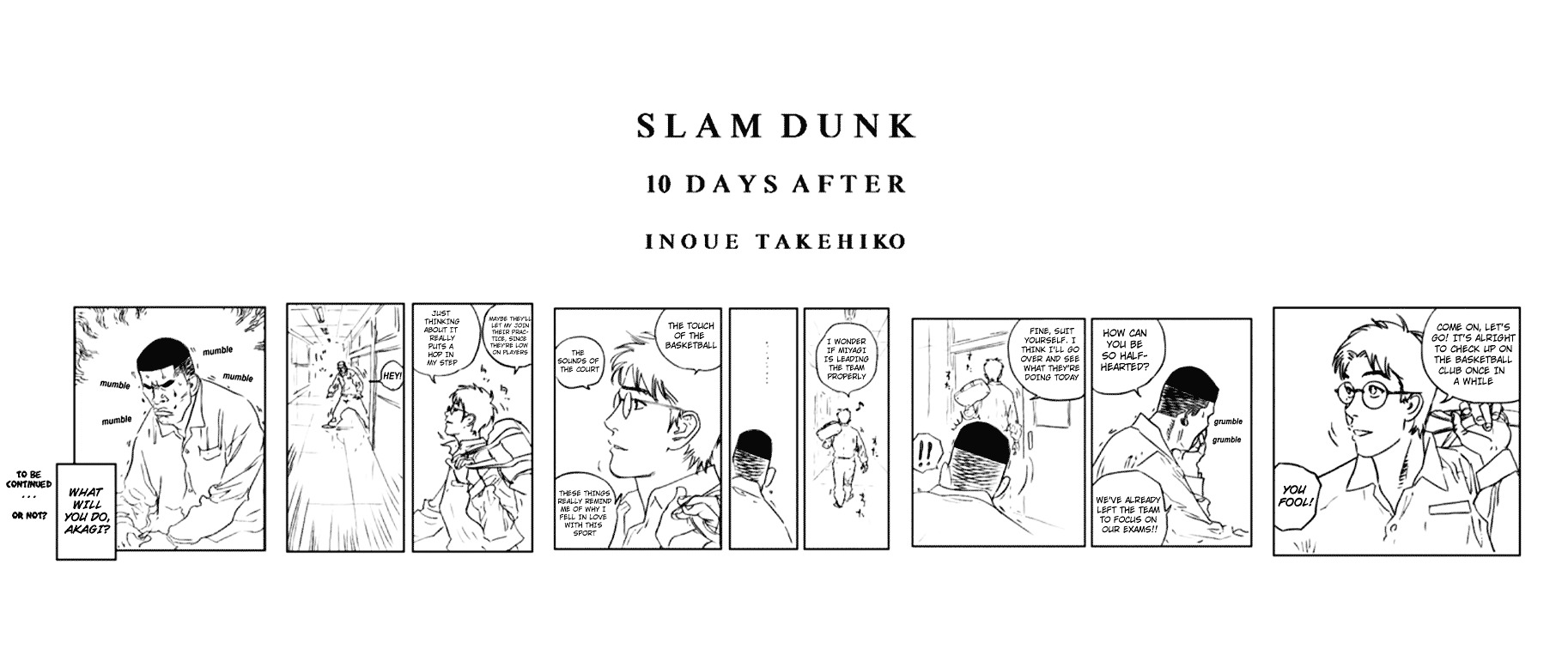 Slam Dunk - Chapter Oneshot : 10 Days After