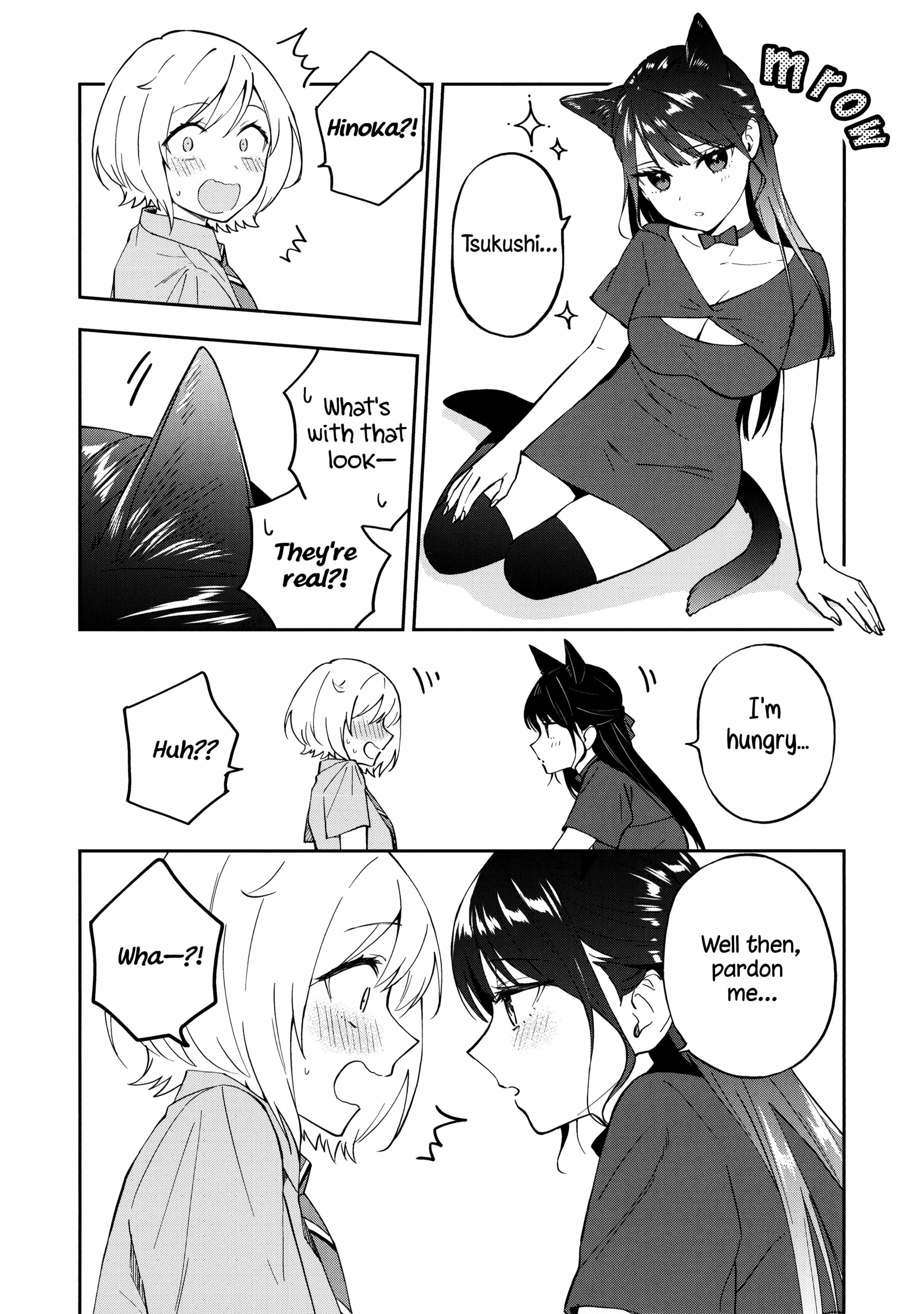 A Yuri Manga That Starts With Getting Rejected In A Dream - Chapter 13.6