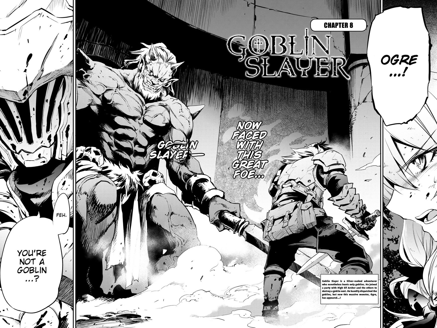 Goblin Slayer - Chapter 8 : Goblin Slayer 8