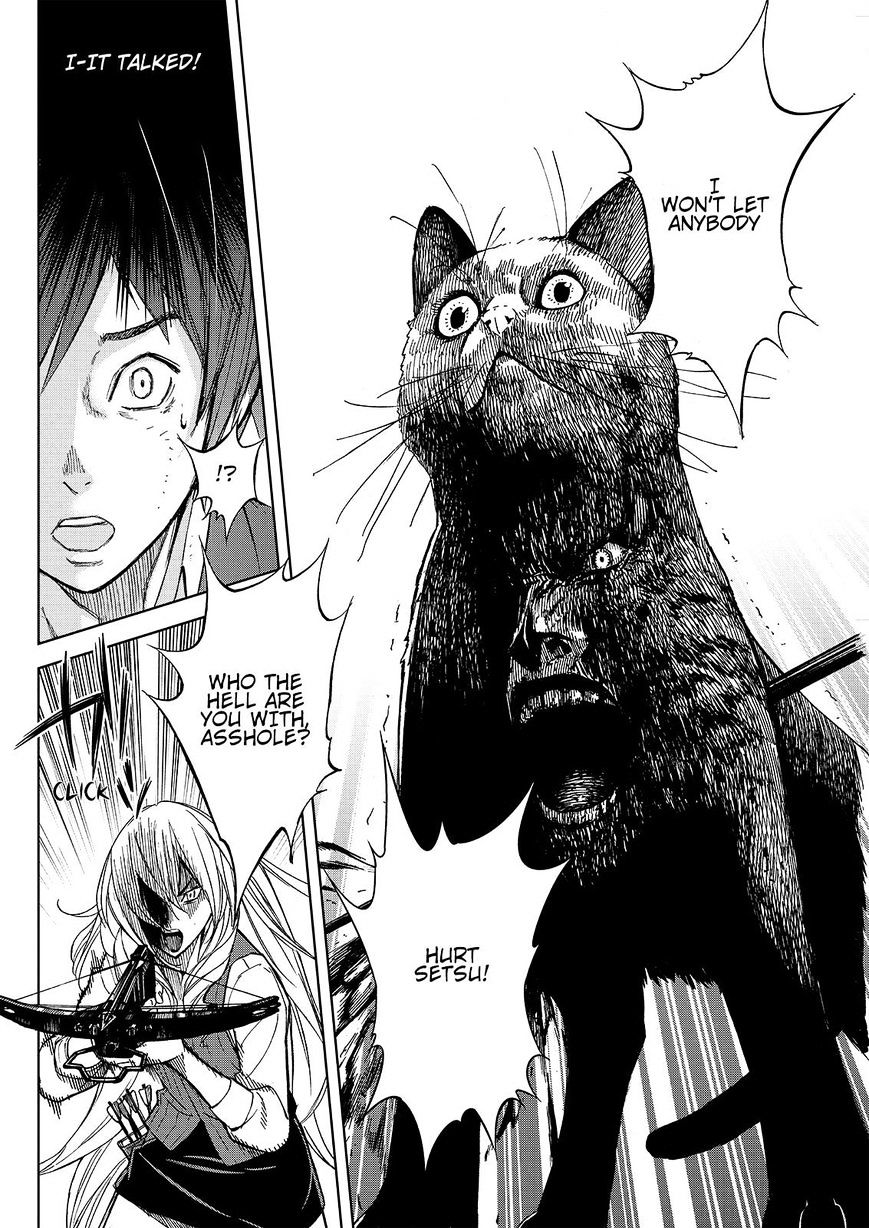 Okitenemuru - Chapter 22 : Cat And Cat Ears