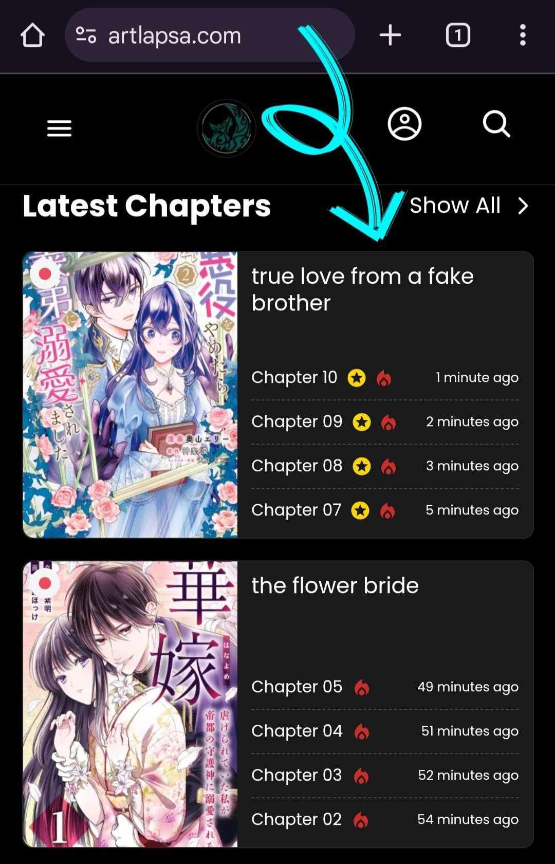 True love from a fake brother - Chapter 2