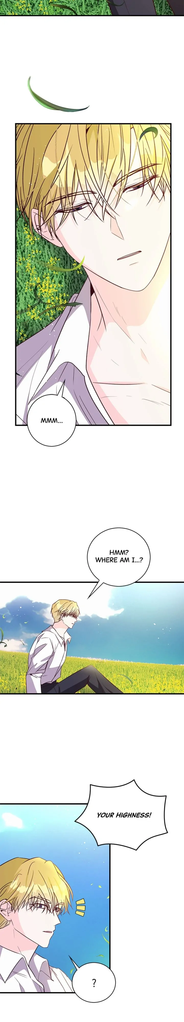 The Secret Life Of A Certain Count’s Lady - Chapter 80