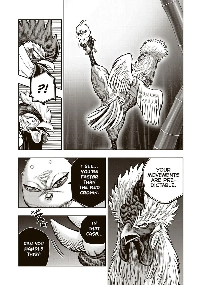 Rooster Fighter - Chapter 33