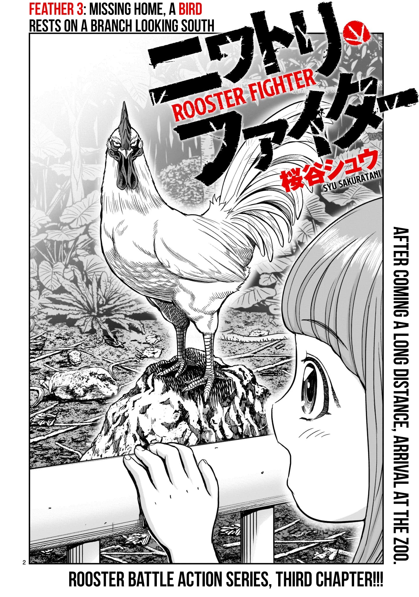 Rooster Fighter - Chapter 3: Feather 3: Missing Home, A Bird Rests On A Branch Looking South