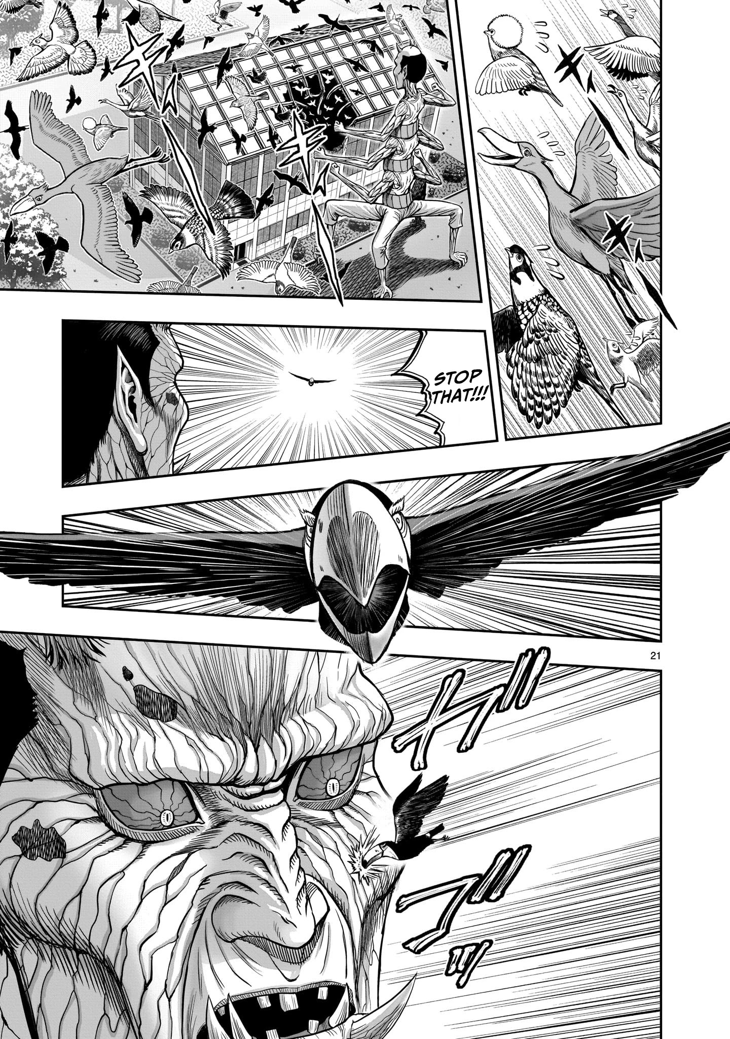 Rooster Fighter - Chapter 3: Feather 3: Missing Home, A Bird Rests On A Branch Looking South