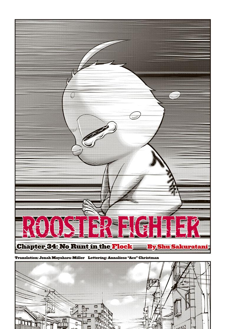 Rooster Fighter - Chapter 34