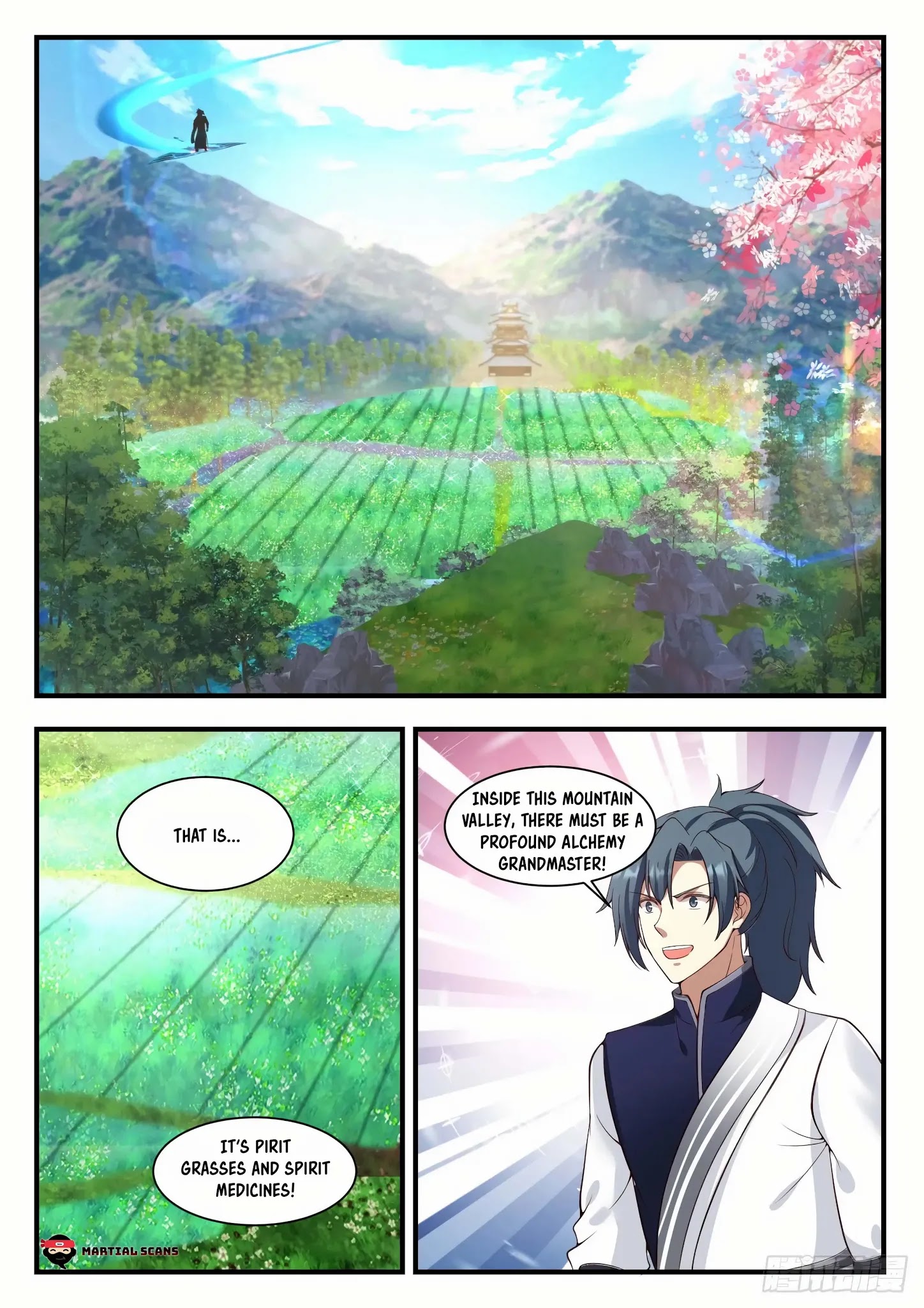 Martial Peak - Chapter 931: Medicine Garden