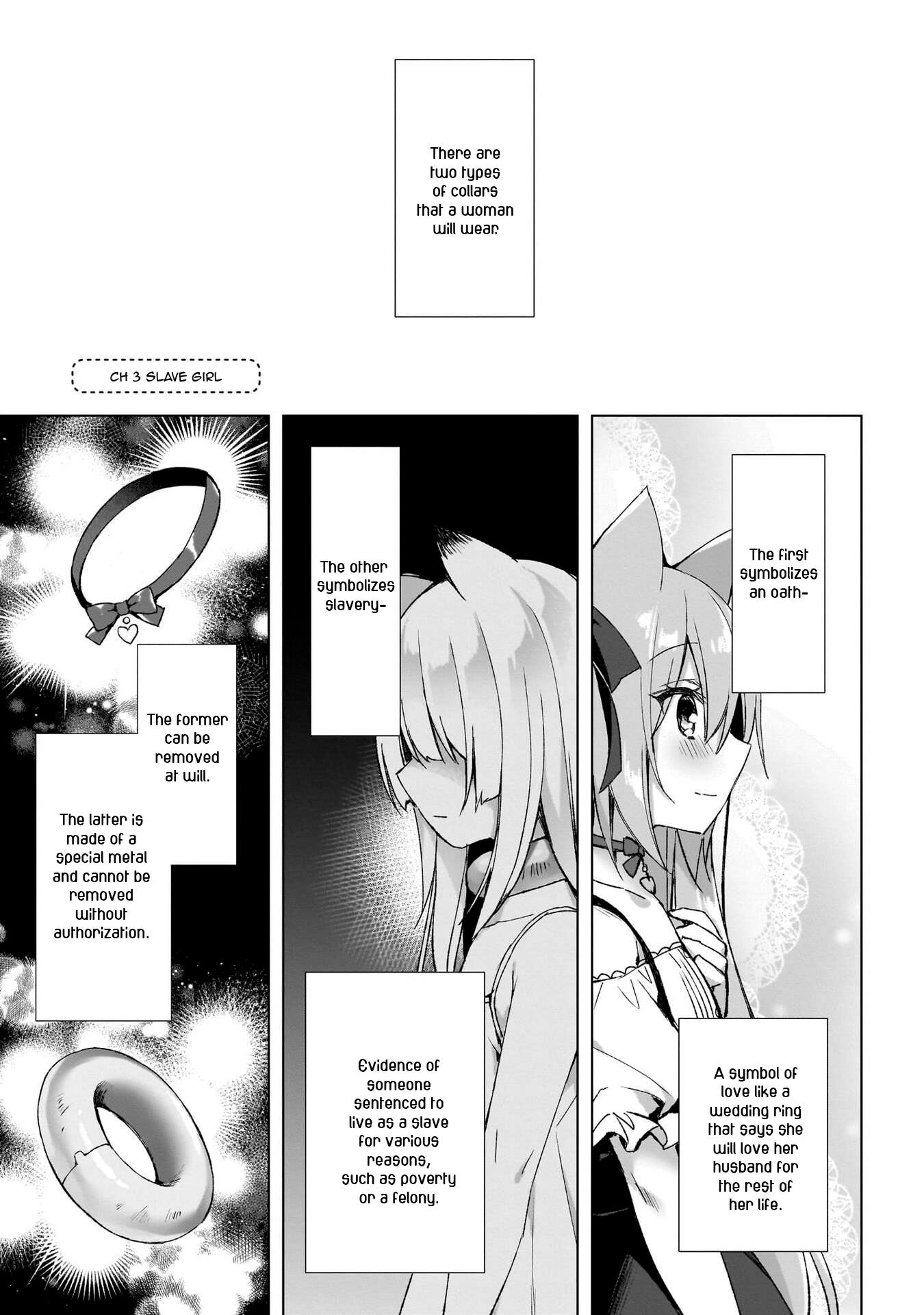 Boku No Risou No Isekai Seikatsu ~Tensei Shitara Kemomimi Musume Darake No Sekai De Harem Ni~ - Vol.1 Chapter 3: Slave Girl