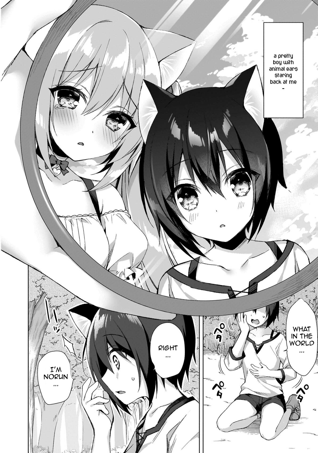 Boku No Risou No Isekai Seikatsu ~Tensei Shitara Kemomimi Musume Darake No Sekai De Harem Ni~ - Vol.1 Chapter 1: Where I've Reincarnated...