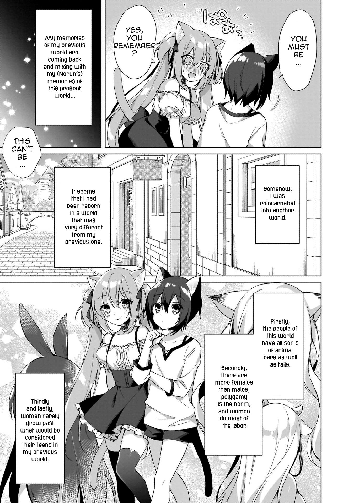 Boku No Risou No Isekai Seikatsu ~Tensei Shitara Kemomimi Musume Darake No Sekai De Harem Ni~ - Vol.1 Chapter 1: Where I've Reincarnated...