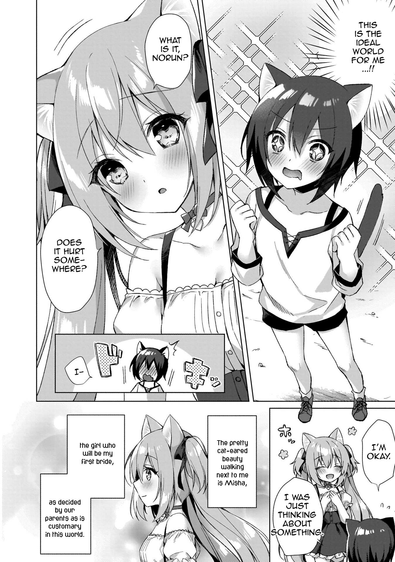 Boku No Risou No Isekai Seikatsu ~Tensei Shitara Kemomimi Musume Darake No Sekai De Harem Ni~ - Vol.1 Chapter 1: Where I've Reincarnated...