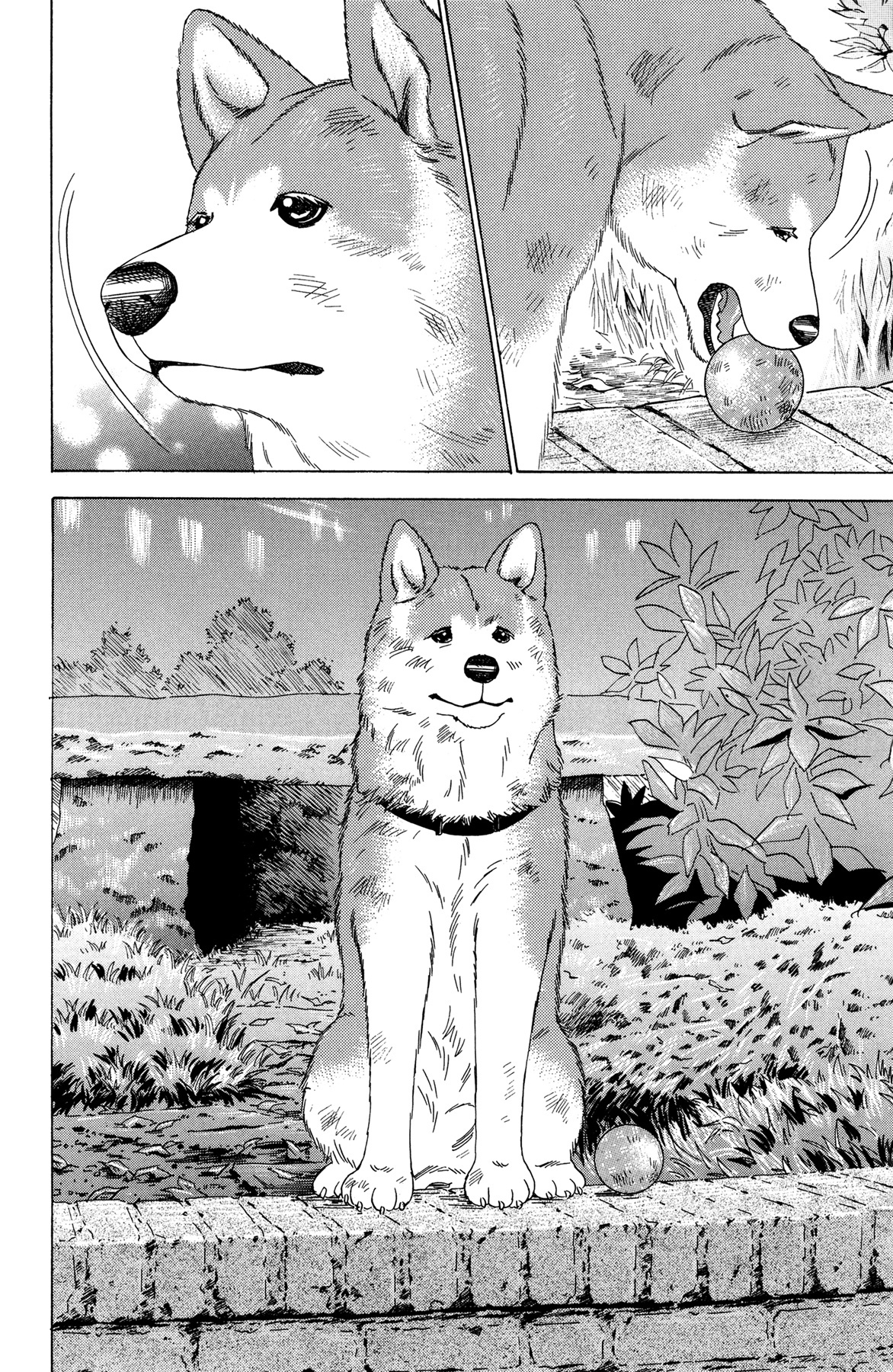 Hachi: A Dog's Tale - Chapter 5: Restless Waiting