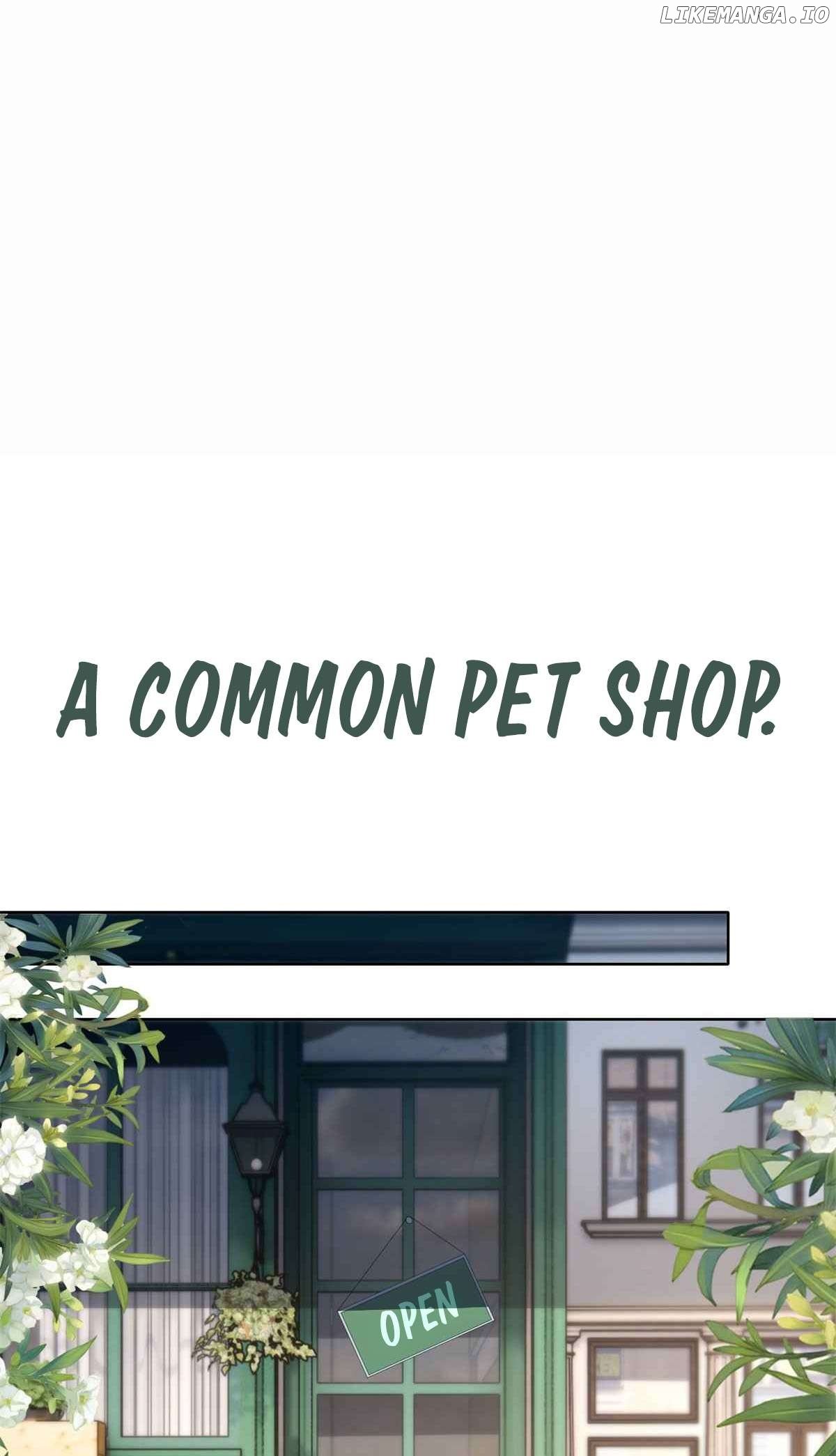 Wonder Pet Shop - Chapter 0.1