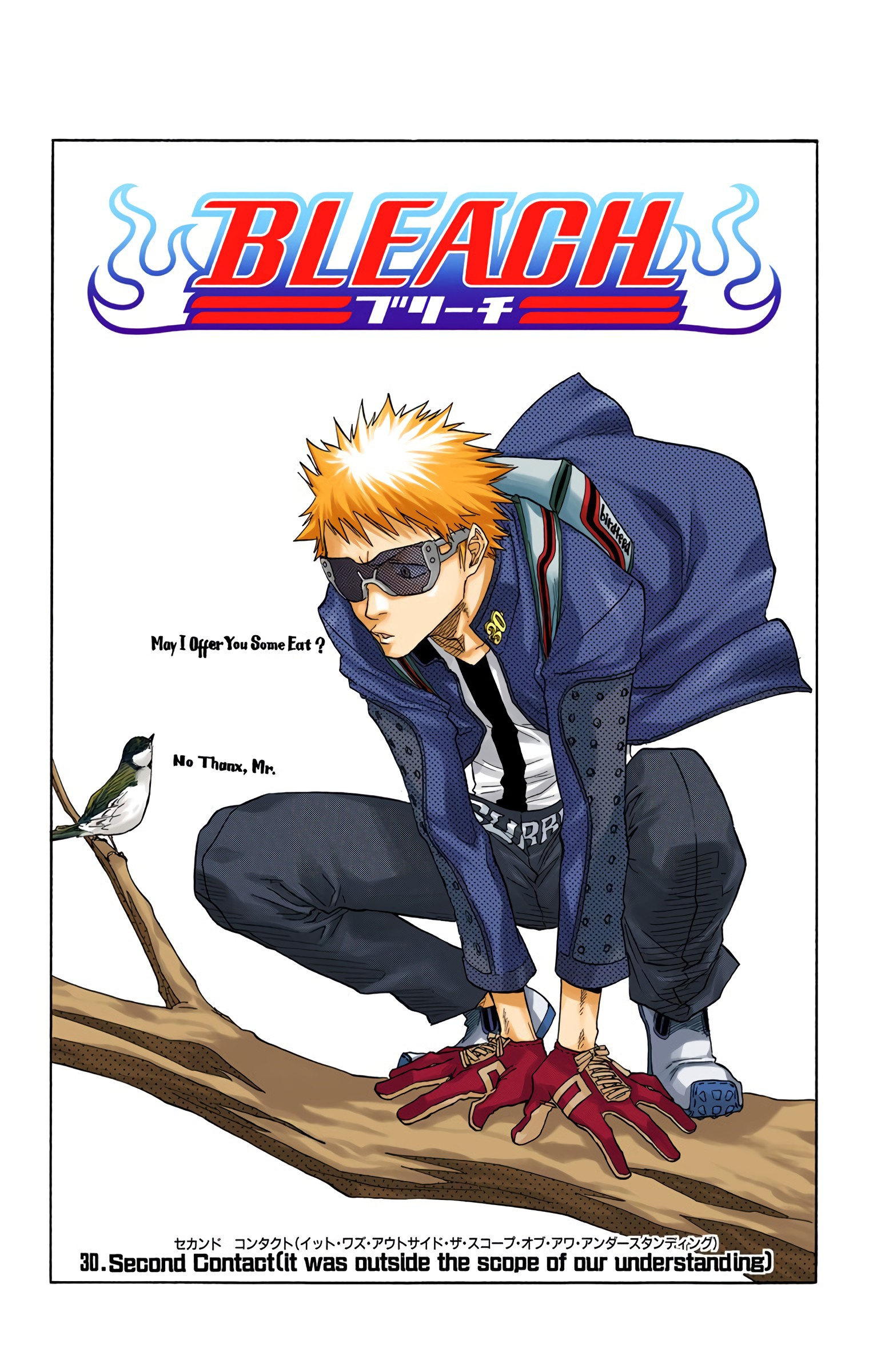 Bleach - Digital Colored Comics - Vol.4 Chapter 30: Second Contact (It Was Beyond The Scope Of Our Understanding)