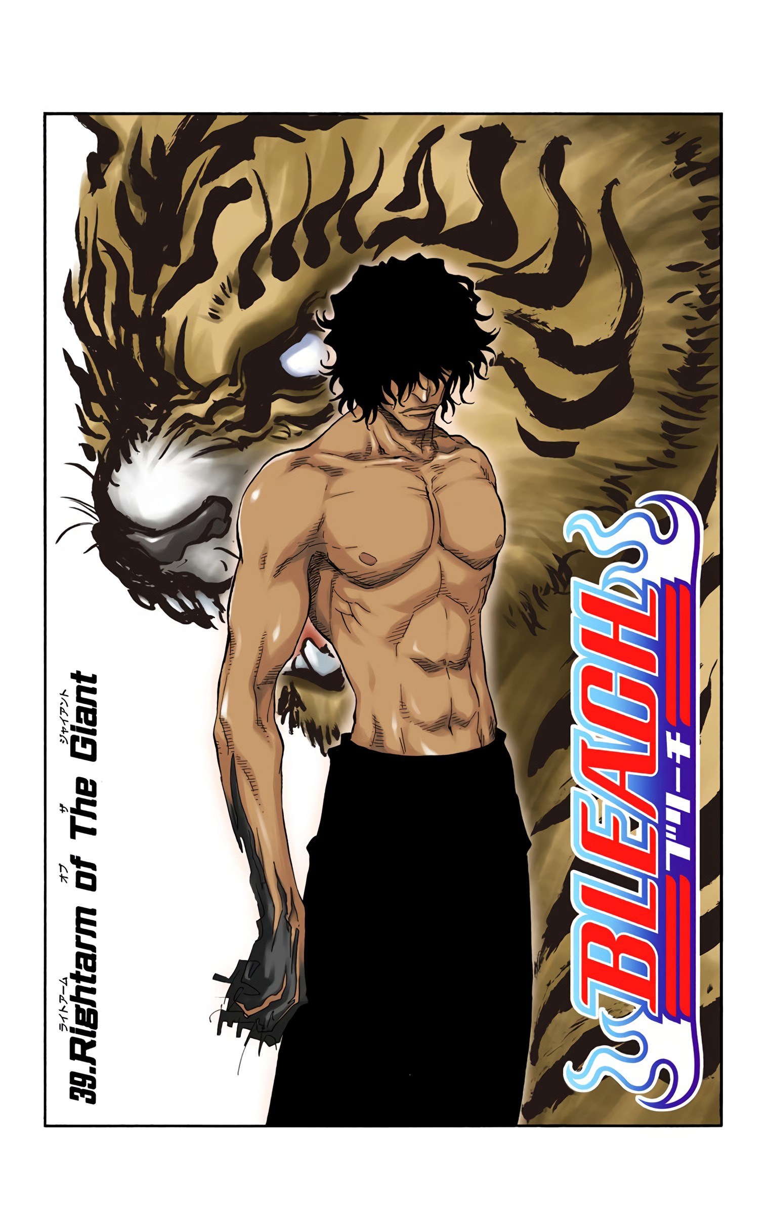 Bleach - Digital Colored Comics - Vol.5 Chapter 39: Right Arm Of The Giant