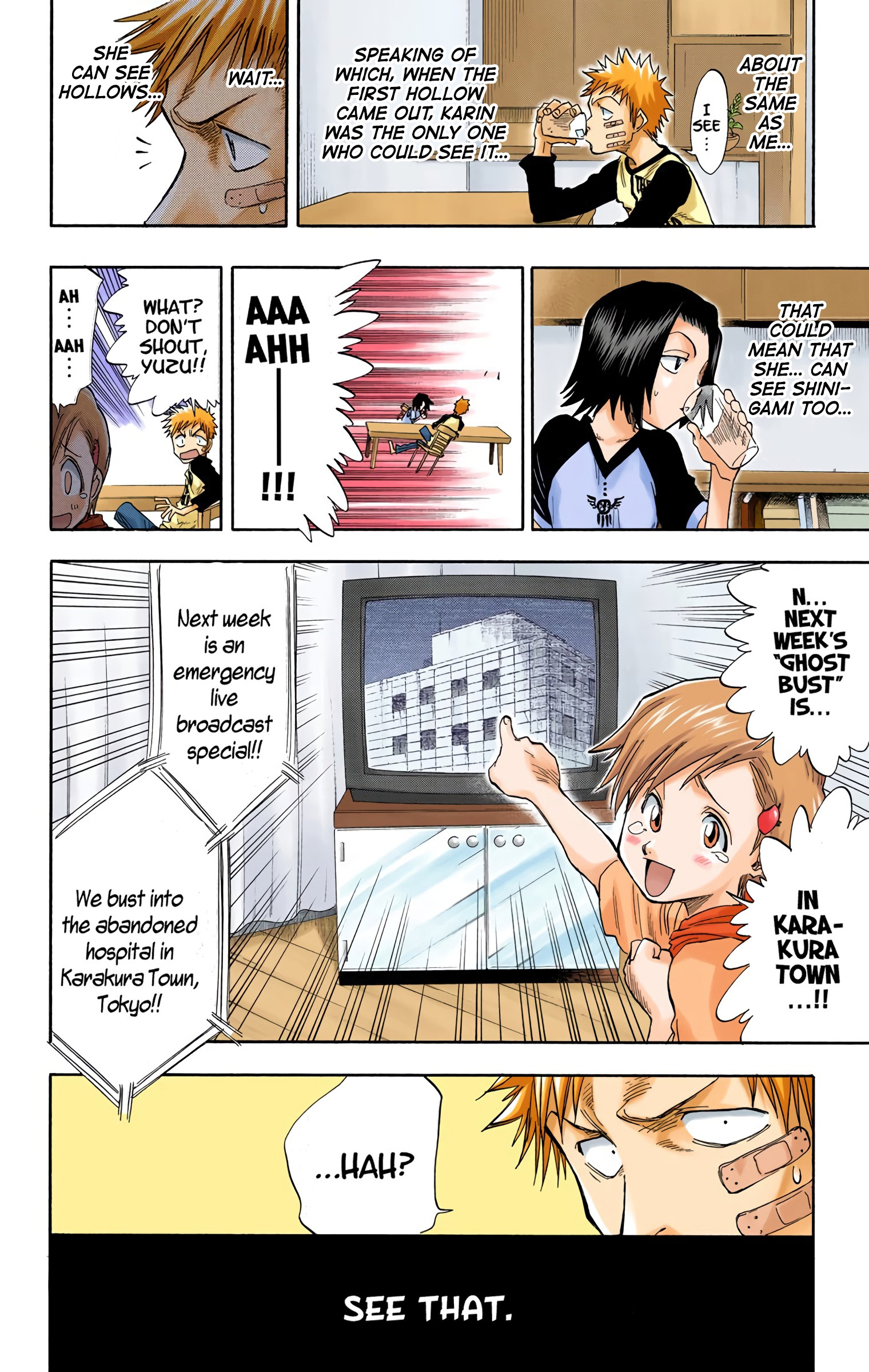 Bleach - Digital Colored Comics - Vol.4 Chapter 27: Spirits Aren't Always With Us