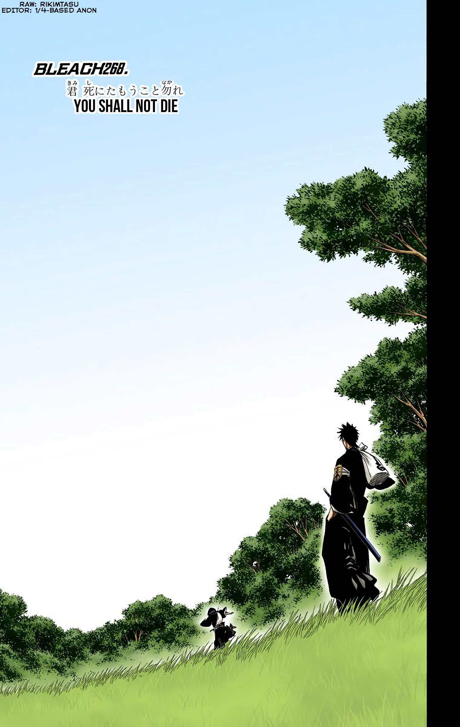 Bleach - Digital Colored Comics - Vol.30 Chapter 268: You Shall Not Die