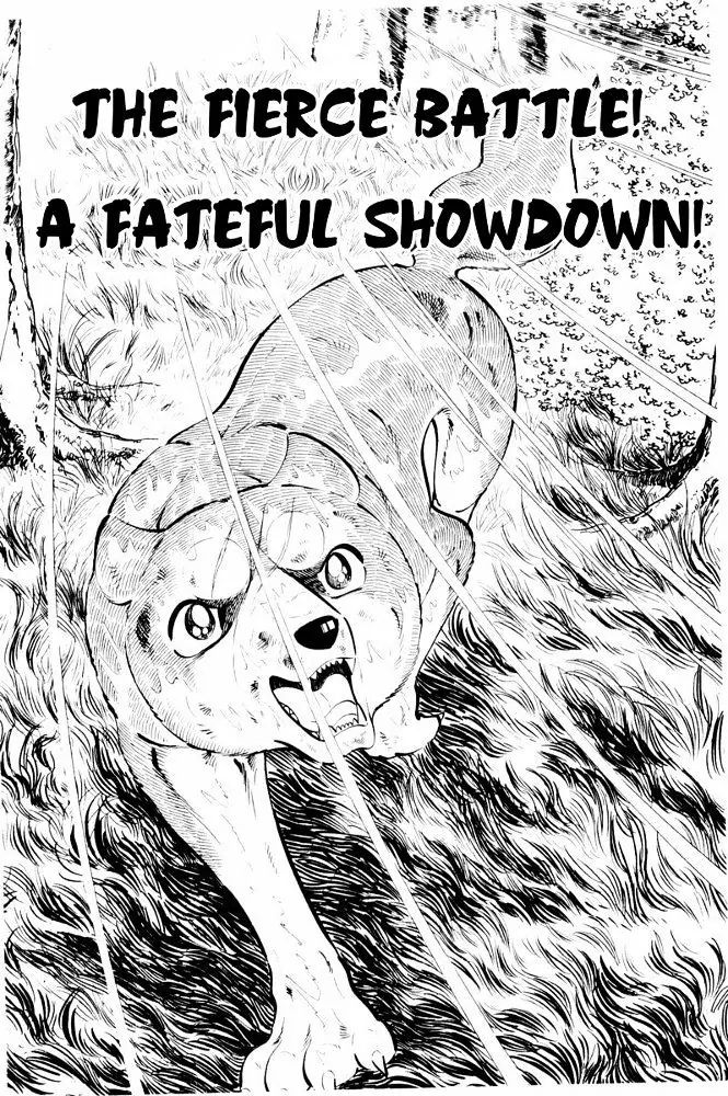 Ginga Nagareboshi Gin - Vol.7 Chapter 38: The Fierce Battle! A Fateful Showdown!