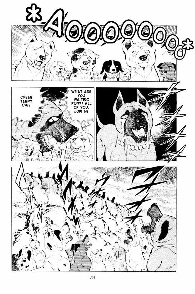 Ginga Nagareboshi Gin - Vol.6 Chapter 31: The Oath To Supreme Commander Riki